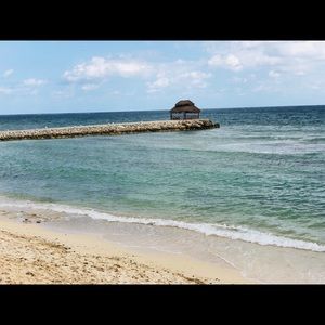 Meet your Posher, Priyanka